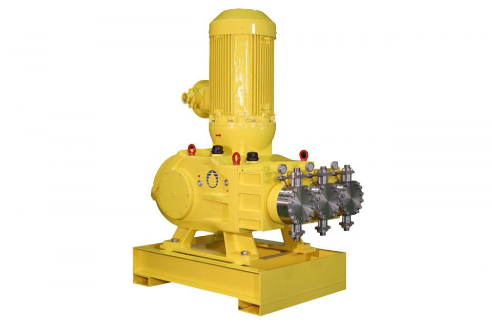 Milton Royal Megaroyal Positive Displacement Pump | EW Process